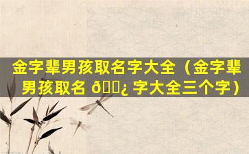 金字辈男孩取名字大全（金字辈男孩取名 🌿 字大全三个字）